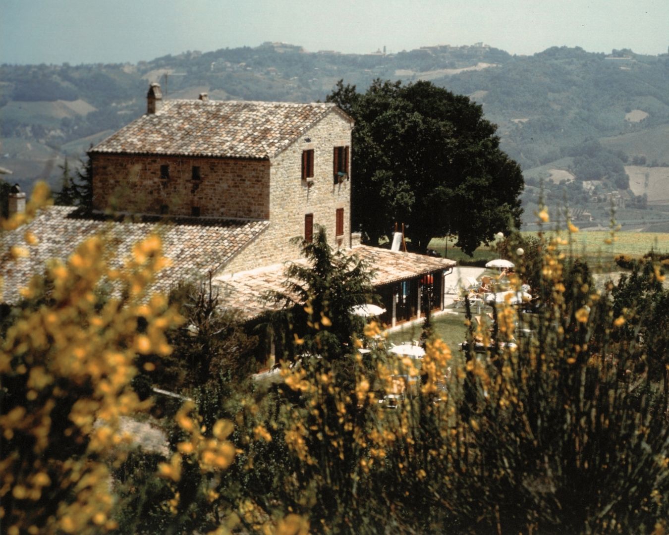 La-storia-de-La-Ginestra-Hotel-2