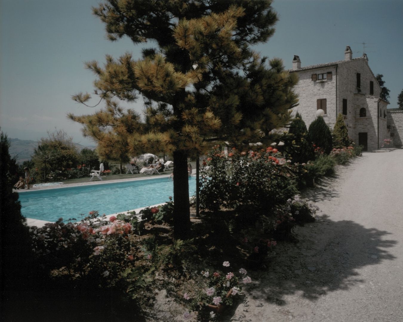 La-storia-de-La-Ginestra-Hotel-5